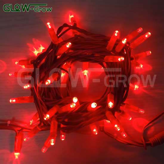 Orange Rubber Wire Christmas LED Fairy Light RV String Lights for Festival Decoration